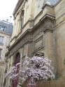 2018-03-29 16-17-26 Le Marais-Eglise ND des Blancs Manteaux CGn